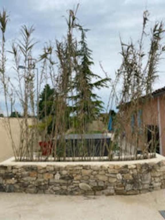 Villa Spa Piscine : Entre Mer Et Montagne Foissac  エクステリア 写真